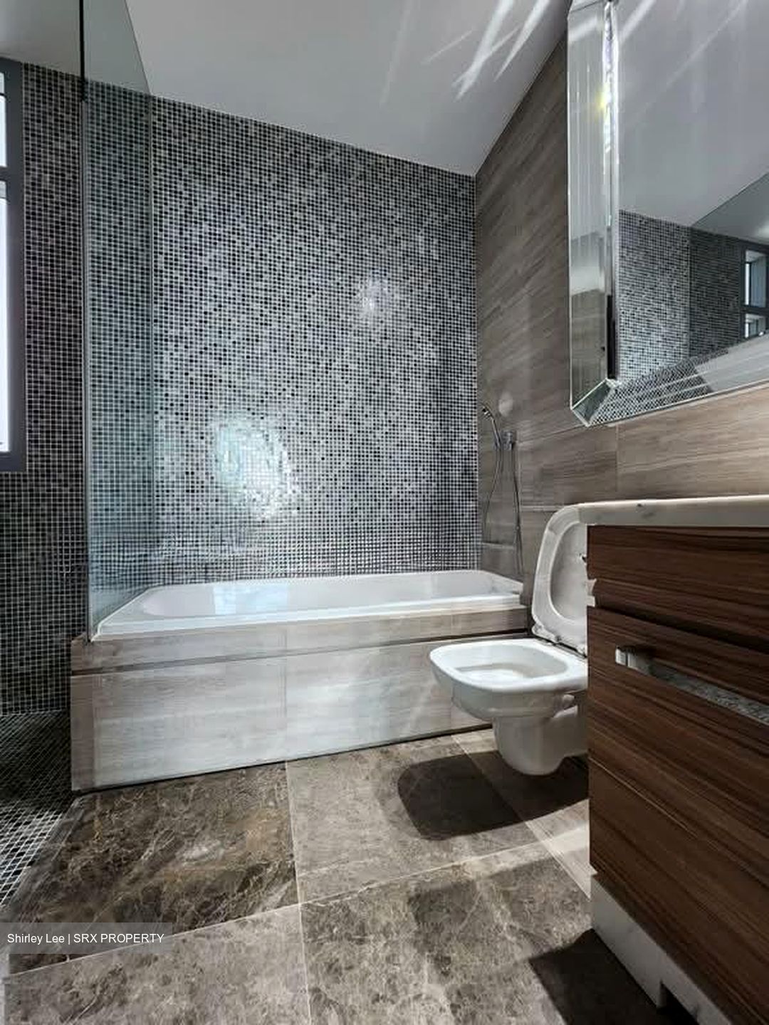 Thomson Grand (D20), Condominium #584063231